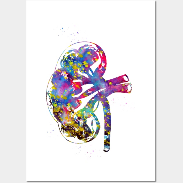 Kidney section Wall Art by erzebeth